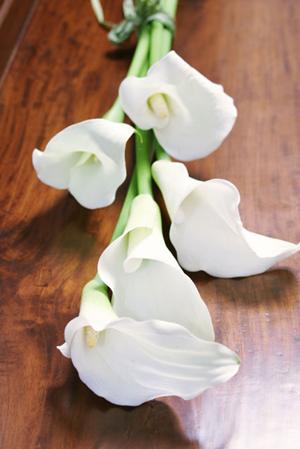 仙台で安心できるジュエリーショップ